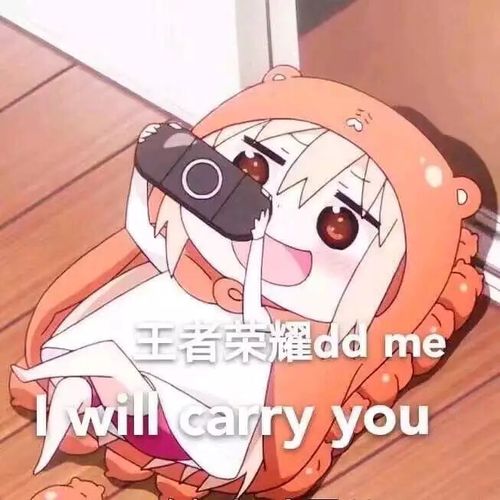 PK Ho(w)py(li)u[D]