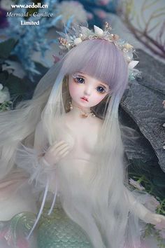ūڬFW(xu)ео